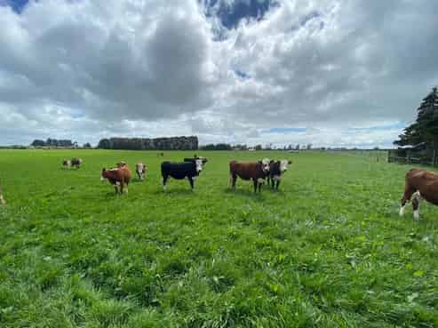 38 Blakie Road, Ryal Bush