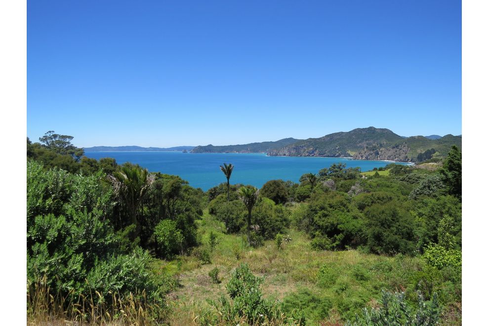 6 Boulder Bay Drive, Coromandel, ThamesCoromandel For Sale