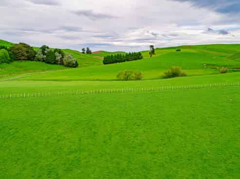 179 Mikimiki Road, Kiriwhakapapa