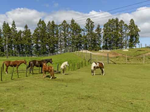 450 Mclaren Falls Road, Kaimai