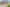 769 Old Te Aroha Road, Okauia