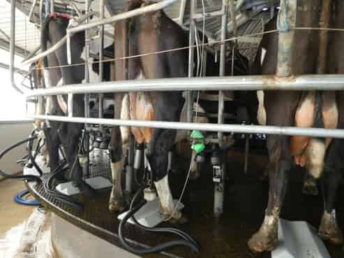 520 Upper Buller Gorge Road, Inangahua