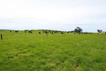 320 Makino Road, Hurleyville