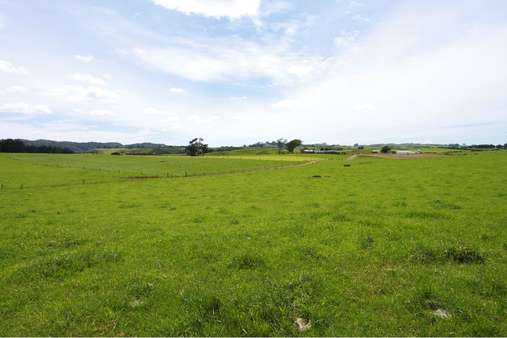 320 Makino Road, Hurleyville, South Taranaki For Sale realestate.co.nz