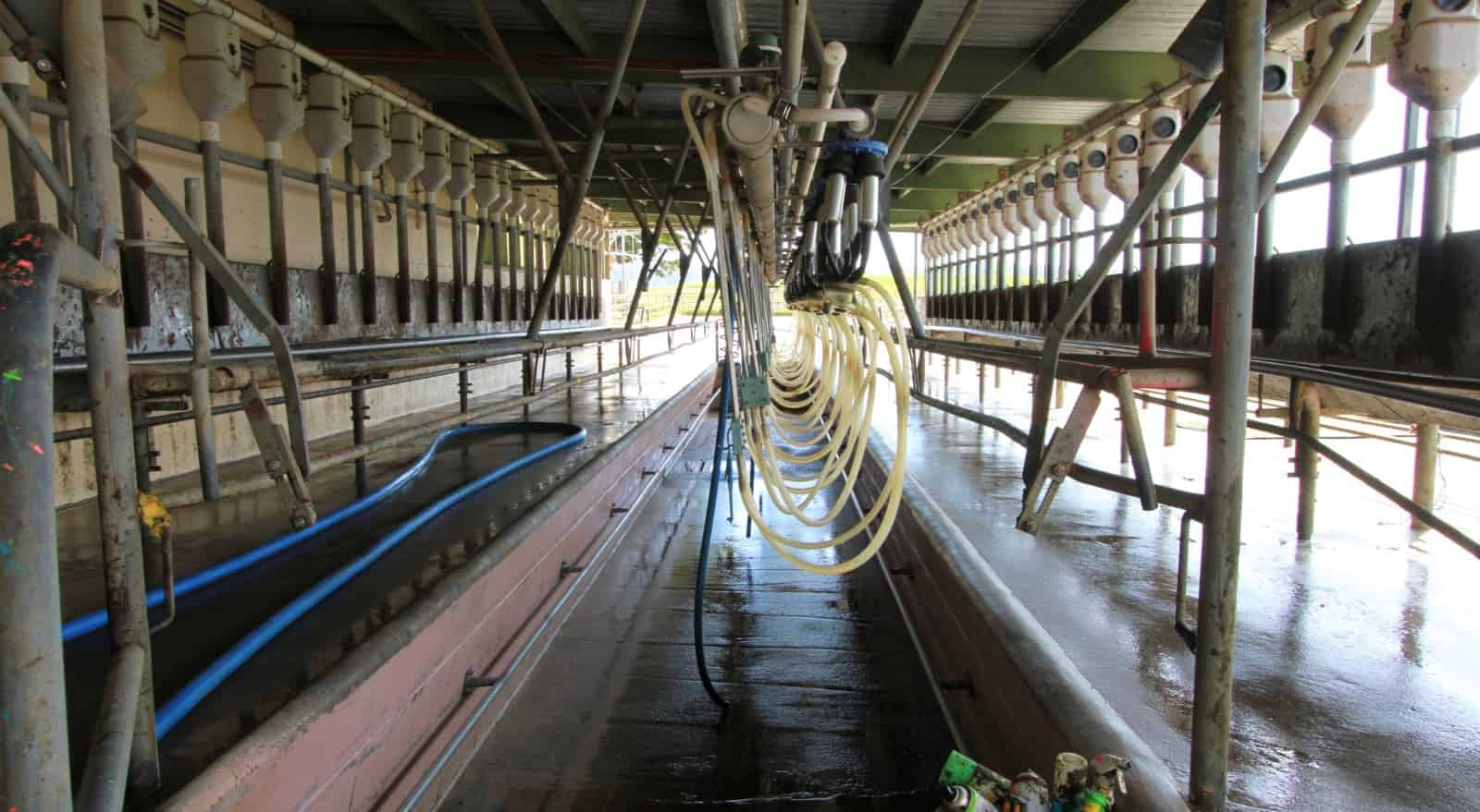 320 Makino Road, Hurleyville, South Taranaki For Sale realestate.co.nz