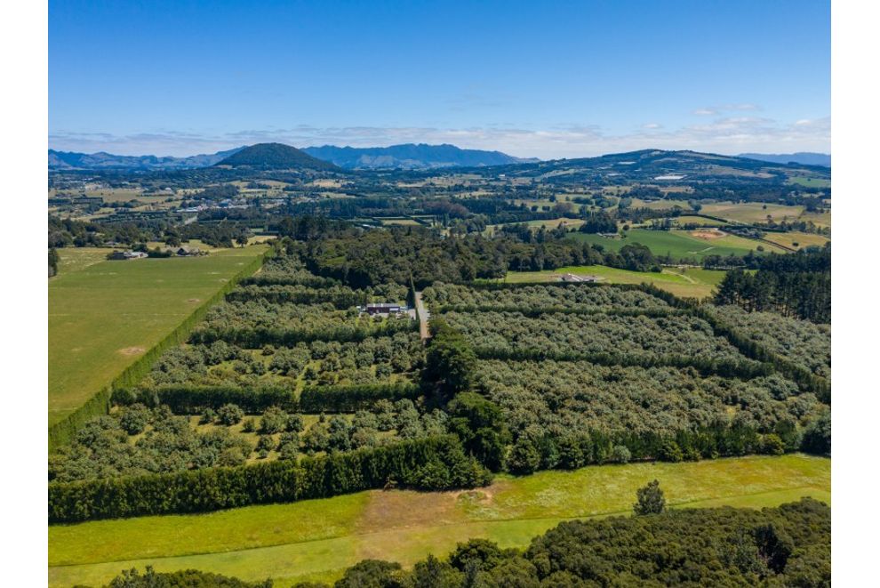 For sale 38 Kokopu Block Road, Maungatapere realestate.co.nz