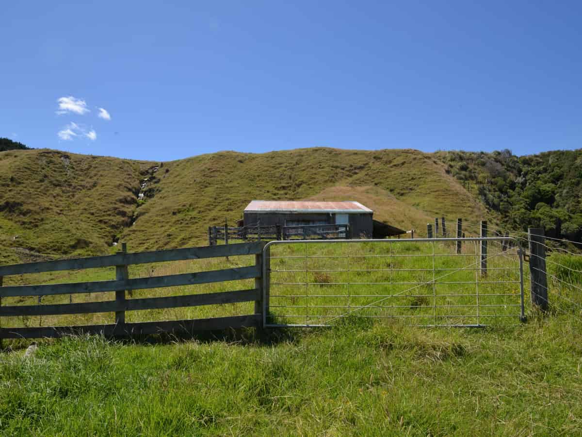 Mokau Homes and Real Estate for Sale realestate.co.nz