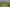 631 Opaki Kaiparoro Road, Mauriceville