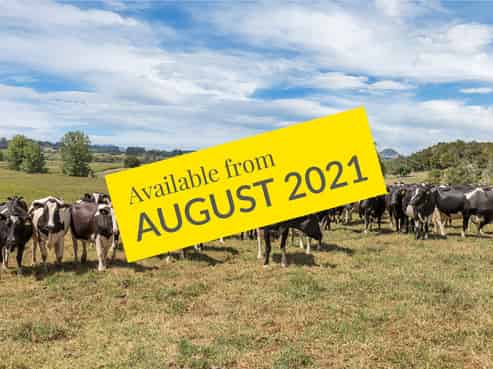 202 Drinnon Road, Pakotai