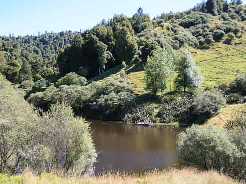 183 Taihore Road, Pohokura and Surrounds