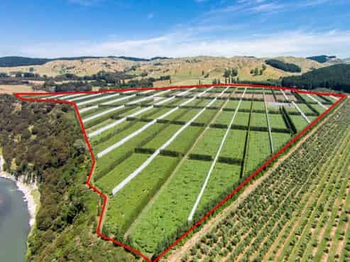 3962 State Highway 2, Raupunga