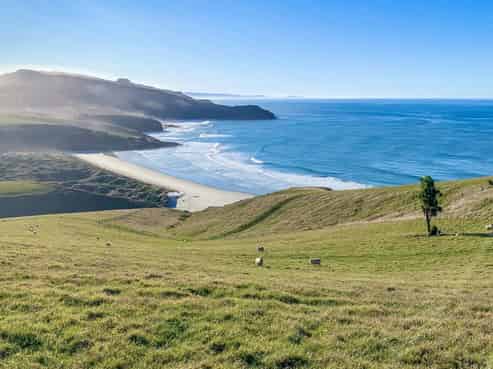 45 Pakihau Road, Harington Point