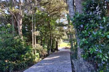 39 Gorge Road, Maungaturoto