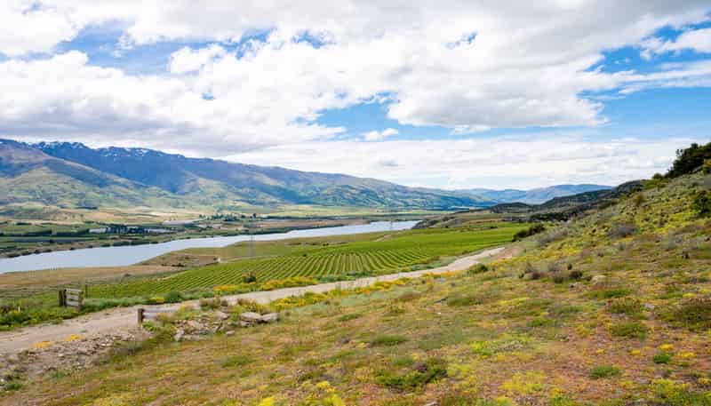 355 Lakefront Terrace, Bendigo Hills, Cromwell