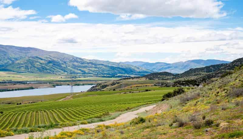 355 Lakefront Terrace, Bendigo Hills, Cromwell