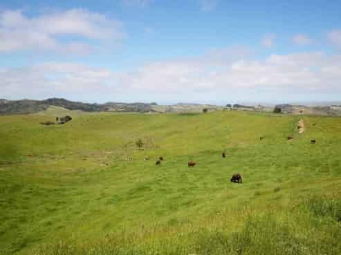 2702 Wairamarama Onewhero Road, Glen Murray