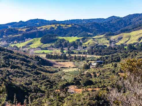 156C Silverstream Falls Row, Whenuakite