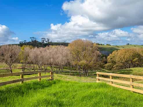 291 Oruawharo Road, Topuni