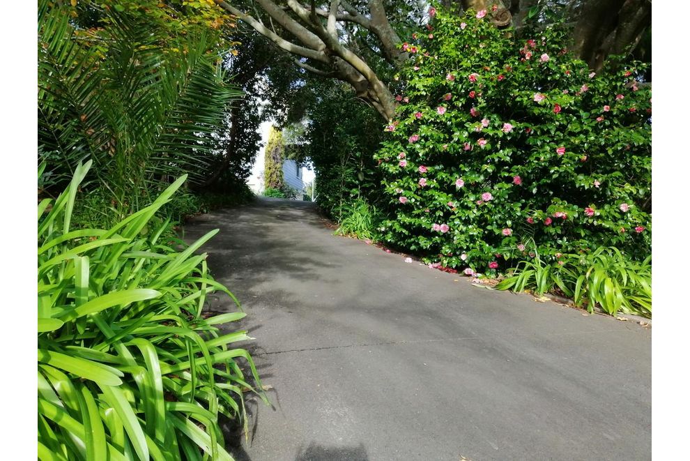 For sale 121 Clyde Road, Wairoa realestate.co.nz