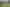 1660 Ohura Road, Douglas