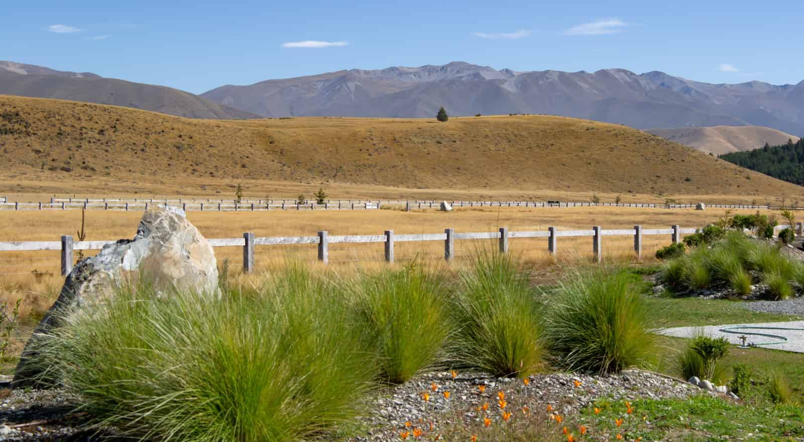 Lot 134 Merino Downs, Twizel, Mackenzie For Sale realestate.co.nz