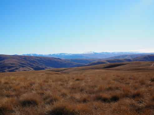  Mt Benger Road, Ettrick