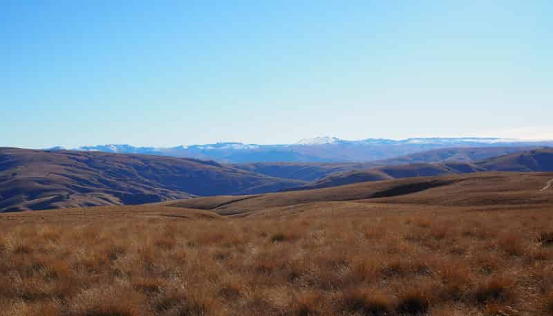  Mt Benger Road, Ettrick