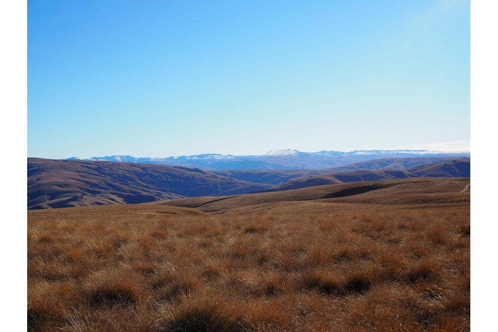 Mt Benger Road, Ettrick, Central Otago For Sale realestate.co.nz