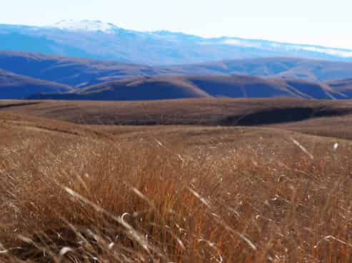  Mt Benger Road, Ettrick