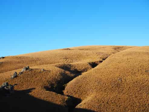  Mt Benger Road, Ettrick