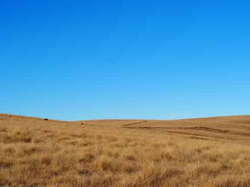  Mt Benger Road, Ettrick