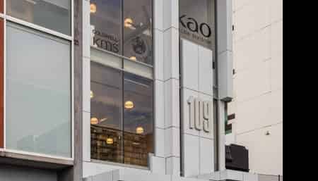  109 Wellesley Street West, Auckland Central