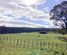 2450 Takapau Road, Waipukurau and Surrounds, Central Hawkes Bay, Hawkes Bay