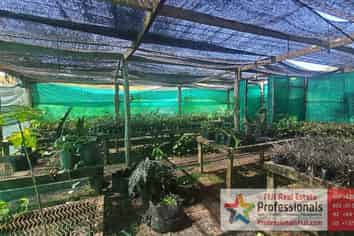 NURSERY BUSINESS FOR SALE IN FIJI!