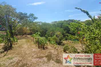 NURSERY BUSINESS FOR SALE IN FIJI!