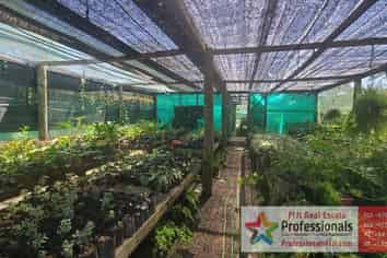NURSERY BUSINESS FOR SALE IN FIJI!