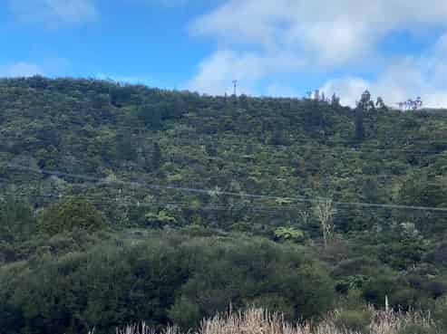 100 Paul Road, Whenuakite