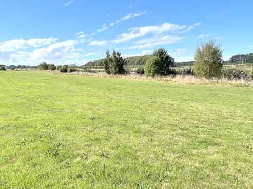 228H Roslyn Road, Roslyn Bush