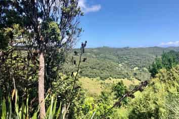 Lot 4 Newton Road, OMAPERE