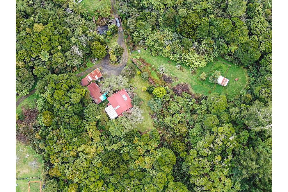 1404 Wekaweka Road, Waimamaku, Far North, Northland, 0376 For Sale