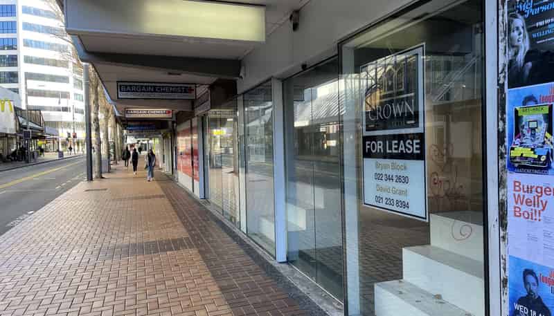 3/73 Manners, Te Aro