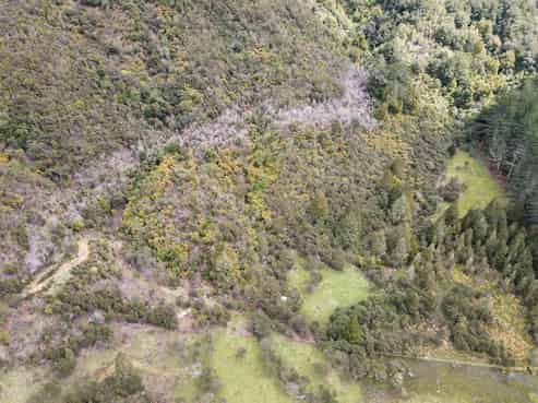 1677 Takaputahi Road, Opotiki Coastal