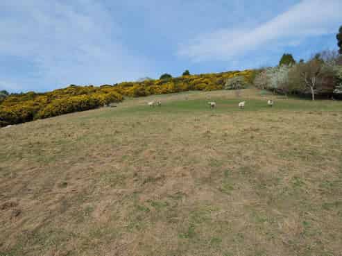 317 Chain Hills Road, Chain Hills