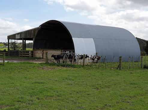 32 Swamp Road, Mareretu