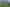 1760 Tarata Road, Tarata