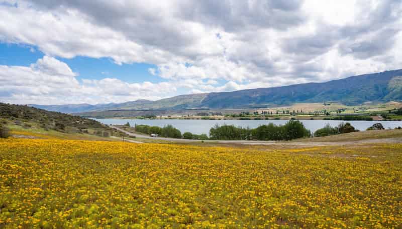 38 Lakefront Terrace, Bendigo Hills, Cromwell