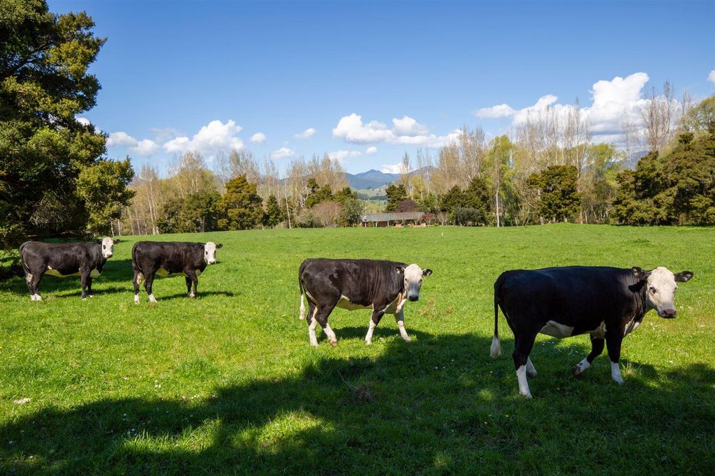 Property value 223 Teapot Valley Road, Brightwater realestate.co.nz