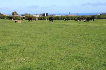 32 Denby Road, Hawera