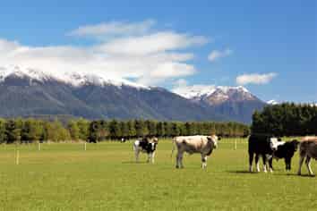 1725B Manapouri Te Anau Highway, Manapouri