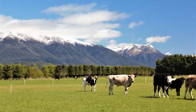 Lot 63, Harmana Lane, Manapouri